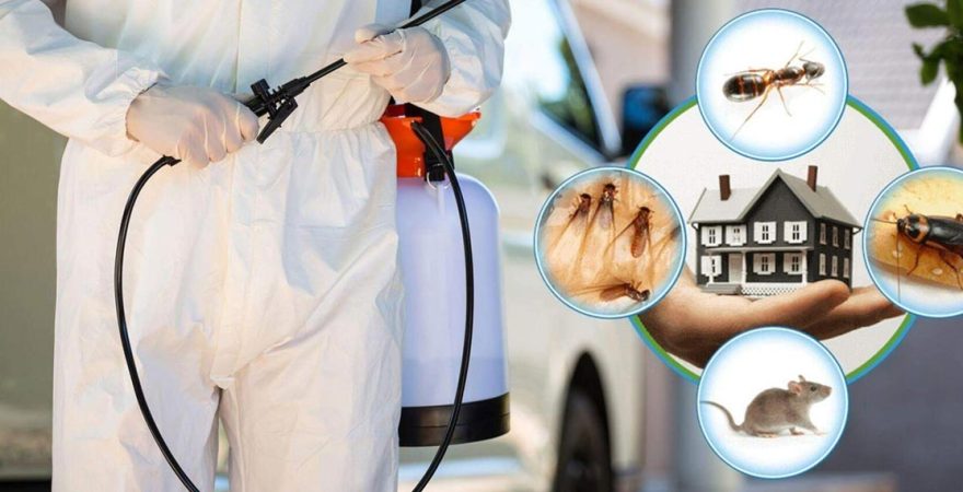 Mordoğan Böcek İlaçlama