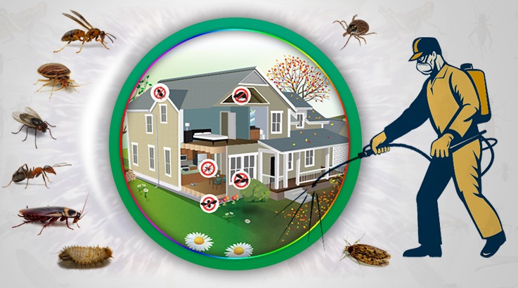 Mordoğan Böcek İlaçlama