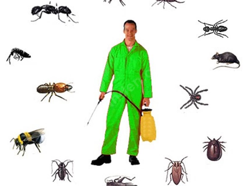 Mordoğan Böcek İlaçlama